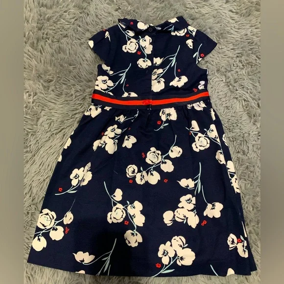 Janie and Jack dress 3T - Picture 2 of 3